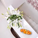 Luxury Bifora Apartamento